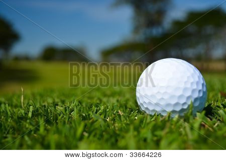 A Glof Ball On Green Field