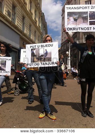 ZAGREB - 26 MEI. Het welzijn van dieren demonstranten op Bana Jelacic vierkant op zaterdag 26, 2012 in Zagreb 