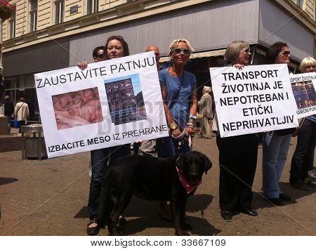 ZAGREB - 26 MEI. Het welzijn van dieren demonstranten op Bana Jelacic vierkant op zaterdag 26, 2012 in Zagreb 