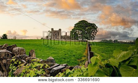 Ruins Of Old 12th Century Bective Abbey, Large Green Tree On Side And Surrounded By Wall And Green F