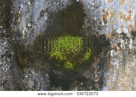 Old Concrete Surface With Rich And Various Texture.
