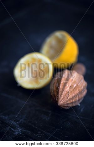 Wooden hand juicer and cut lemons. Retro style still life of squeezing lemons for lemonade or food preparation. Shallow depth of field with focus on tip of the juicer.