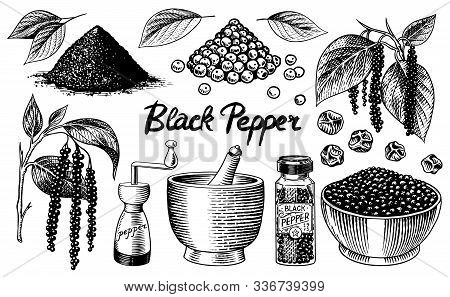 Black Pepper Set In Vintage Style. Mortar And Pestle, Allspice Or Peppercorn, Mill And Dried Seeds, 