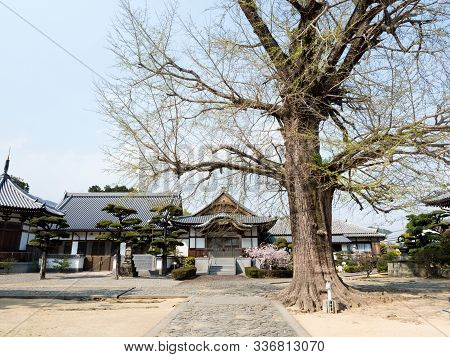 Tokushima, Japan - April 2, 2018: Springtime At Jizoji, Temple Number 5 On Shikoku Pilgrimage