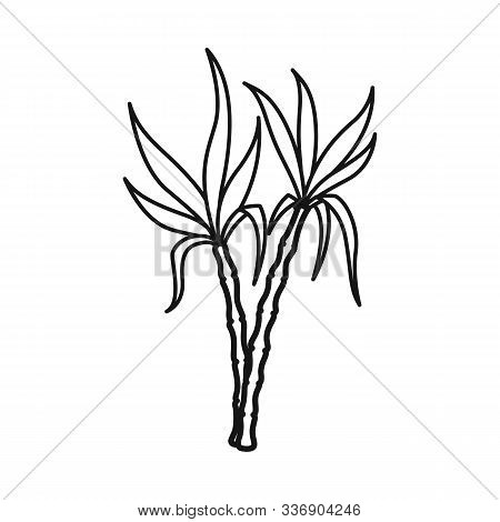 Vector Design Of Vegetable And Sugar Symbol. Graphic Of Vegetable And Cane Vector Icon For Stock.