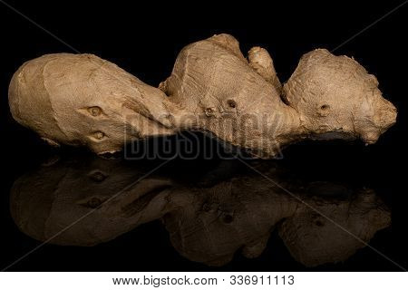 One Whole Fresh Brown Ginger Isolated On Black Glass