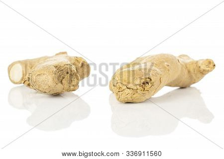 Group Of Two Whole Fresh Brown Ginger Root Isolated On White Background