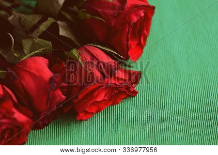 Wilted Roses On A Green Textile Background Closeup. Retro Style Roned