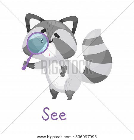 Cute Little Raccoon Looking At Something Through Magnifier With Handwritten Inscription See Vector I