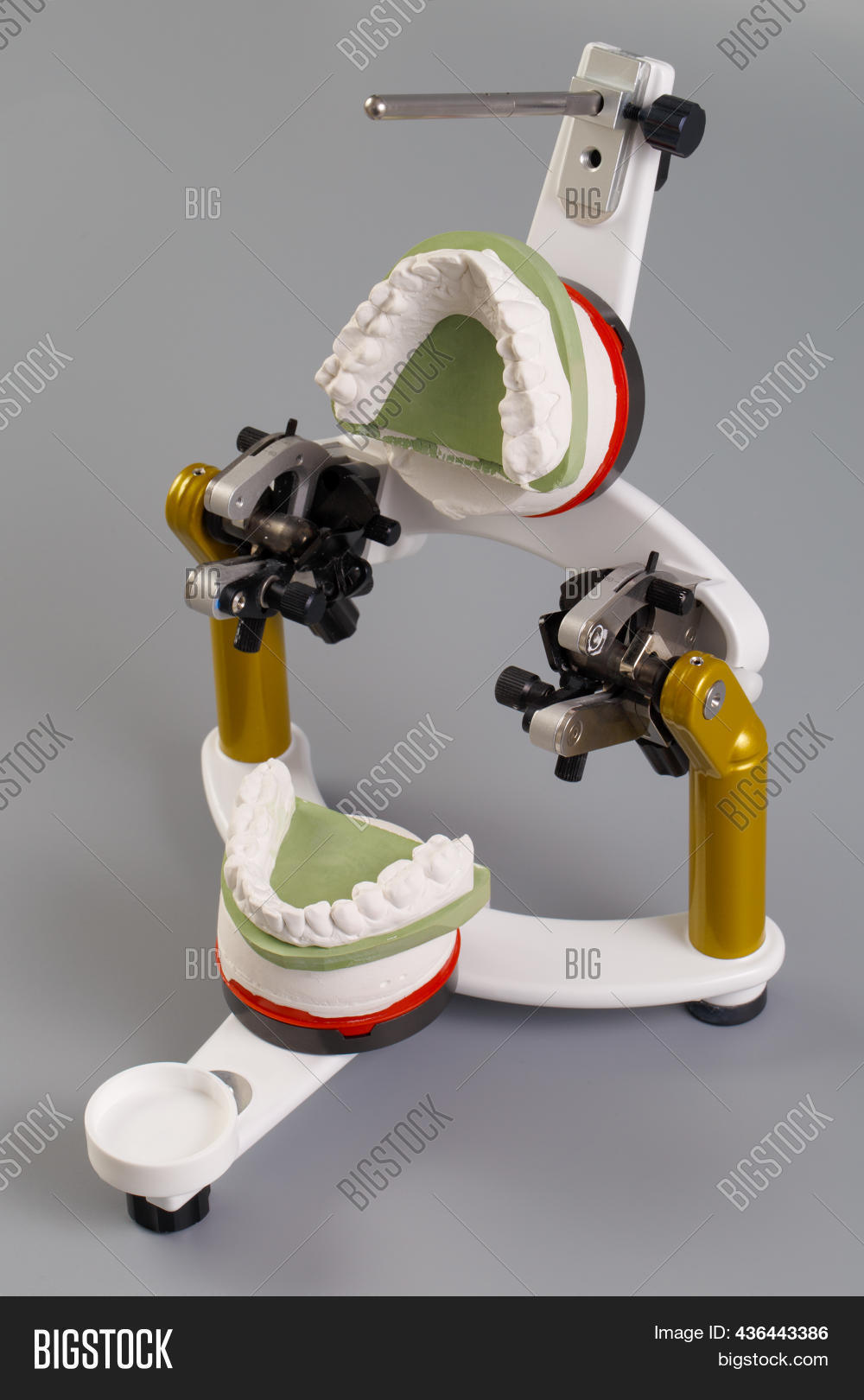 Dental Articulator Image & Photo (Free Trial) Bigstock