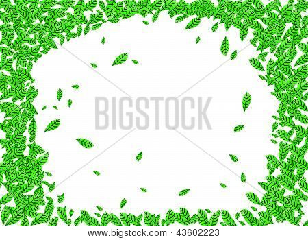 Background Leaf