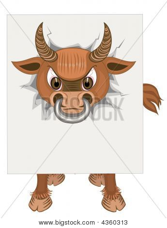 Bull med blanke plakat