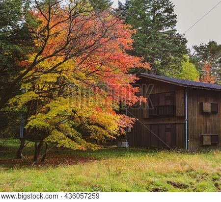 Beautiful Countryside Scene In Autumn