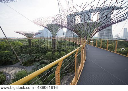 Singapore- Sep 9, 2021: Ocbc Skyway Aerial Walkway Between Supertree Grove Artificial Tree Construct