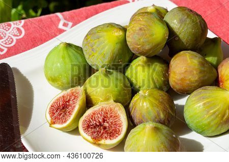 New Harvest Of Fresh Ripe Sweet Fig Fruits