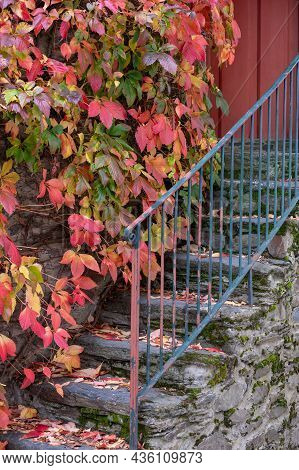 View Of Old Village Provesende In Heart Of Douro River Valley In Autumn, Wine Making Industry In Por
