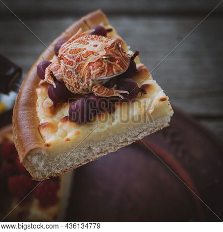 Pacman Frog On Homemade Cheesecake Pie With Berries On Wooden Background