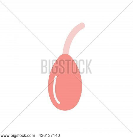 Contraception Method Vaginal Douche Or Lavement. Medical Enema For Constipation Or Body Detox. Ayurv