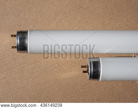 Fluorescent Neon Tube