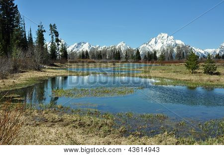 Still Waters