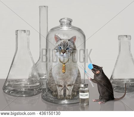 A Black Rat In A Face Mask With A Syringe And A Bottle Of Vaccine Is Near A Glass Flask With A Ashen