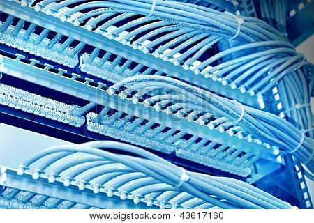 Apparatskåp med patchpanel 6 kategorin, blå ton