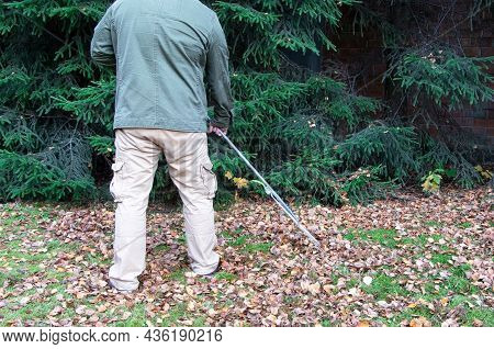 The Man With Rake Removes Fallen Leaves.the Gardener Removes Of Fallen Leaves.fallen Leaves. Autumn 