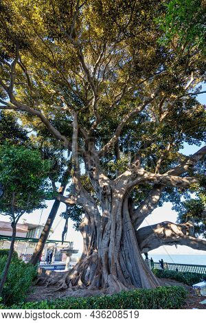 Alameda De Apodaca, A Public Park And An Example Of The Eclectic Style Of Regionalism In Cadiz, With