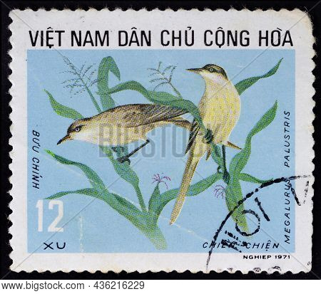 Vietnam - Circa 1971: Postage Stamp Without Perforation 'striated Grassbird Or Megalurus Palustris' 