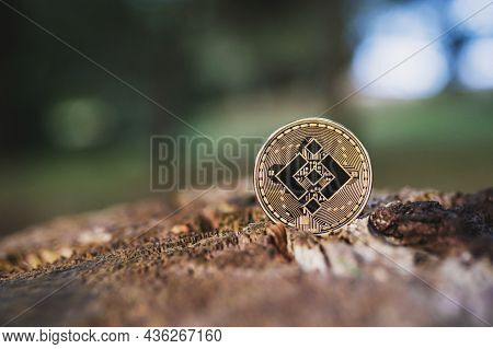 Binance Crypto Coin Stands On Wood Outdoor Close-up, Copy Space. Single Gold Bnb Cryptocurrency Coin