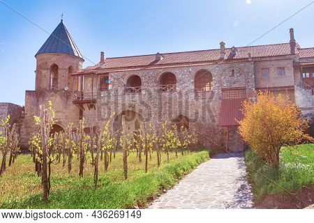 Panorama View Of Alaverdi Orthodox Monastery And Vineyard In Kakhetia Region In Eastern Georgia