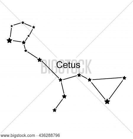 Constellation Cetus On White Background, Vector Illustration