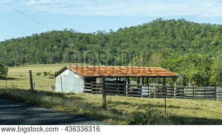 A Country Shed With Cattle Yard Corrals And A Rusted Tin Roof, Located In A Grazing Paddock On A Far
