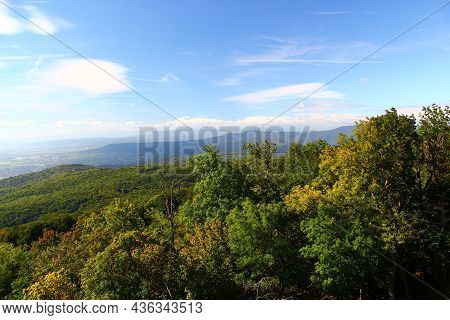 Wonderful landscape view: Green forest and Hills in lower austria near Gumpoldskirchen at Mount Anni