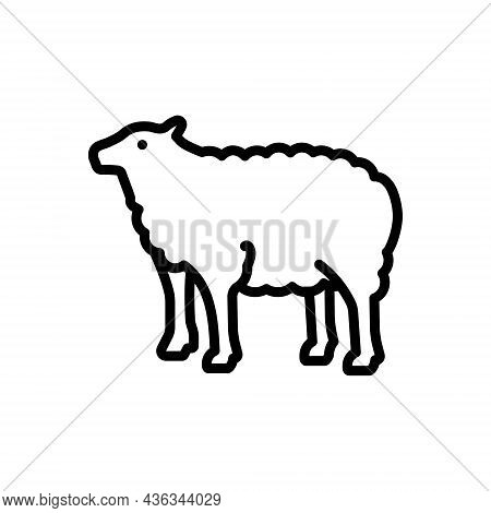 Black Line Icon For Lamb Baa-lamb Sheep Wool Cattle Livestock Domestic