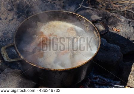 Cooking Traditional Uha On The Campfire. Cast-iron Cauldron With Boiling Fish Broth. Sturgeon, Pink 