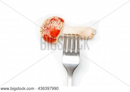 Red Fly Agaric (amanita Muscaria) On A Fork On A White Background. The Concept Of Poisoning Mushroom