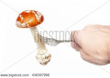 A Man Holds In His Hand A Fork With A Red Fly Agaric (amanita Muscaria) On A White Background. The C