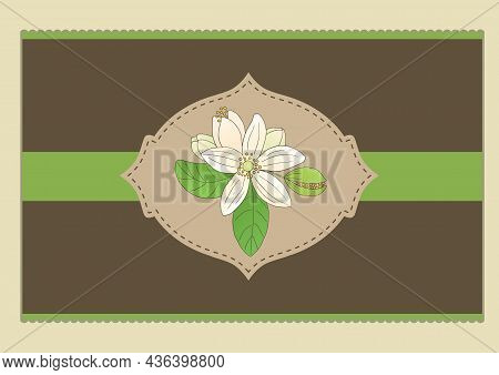 Vector Graphic Flyer Template With Citrus Bergamia Flower
