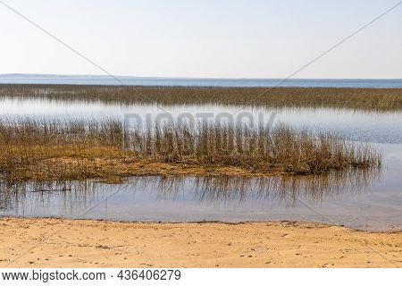 Lake With Vegetation And Sand , Bacopari, Mostardas, Rio Grande Do Sul, Brazil