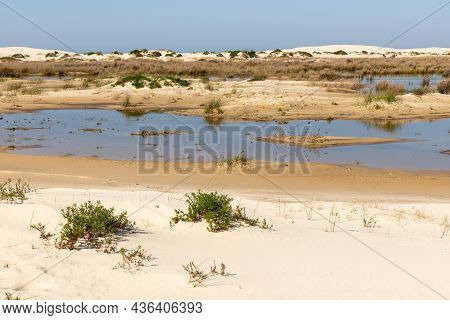 Lake, Dunes With Wind Marks And Vegetation
