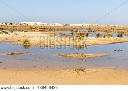 Lake, Dunes With Wind Marks And Vegetation, Bacopari, Mostardas, Rio Grande Do Sul, Brazil