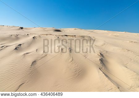 Dunes With Wind Marks And Vegetation