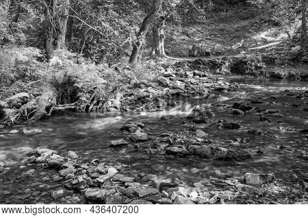 Horner Woods In Somerset