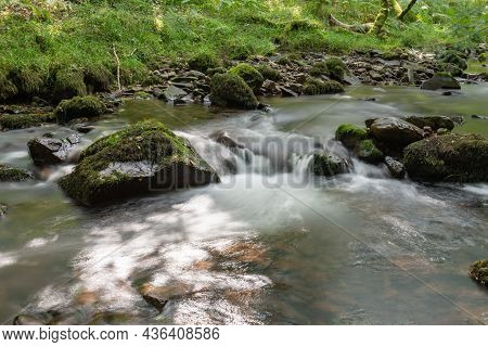 Horner Woods In Somerset