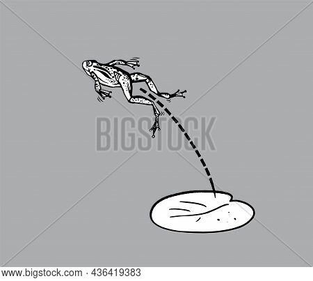Jumping Frog Hand Drawn Line Art Isolated On Gray