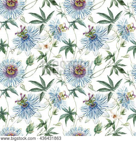 Beautiful Floral Seamless Pattern With Hand Drawn Watercolor Blue Passionflowers. Stock Illustration