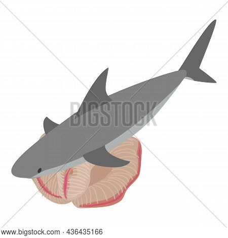 Underwater World Icon Isometric Vector. Big Gray Shark And Beautiful Coral Reef. Marine Environment,