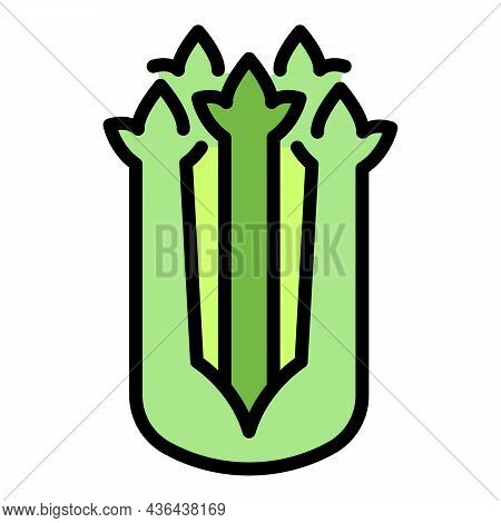 Bio Celery Icon. Outline Bio Celery Vector Icon Color Flat Isolated