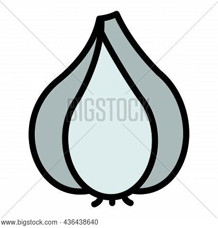 Fresh Garlic Icon. Outline Fresh Garlic Vector Icon Color Flat Isolated